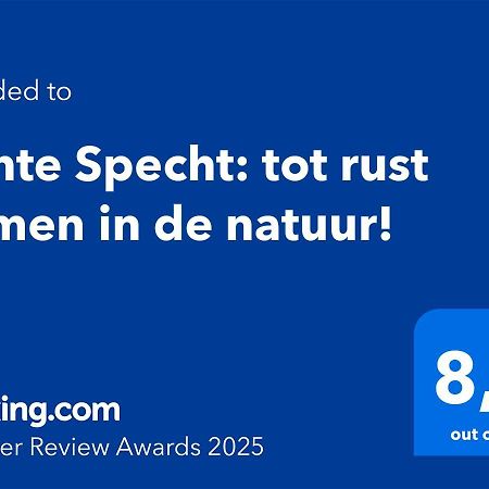 Bonte Specht: Tot Rust Komen In De Natuur! Otterlo Exteriör bild