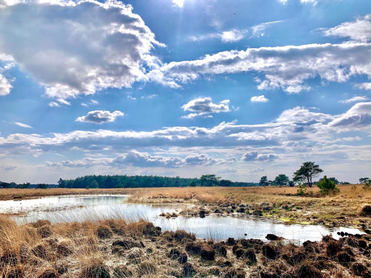 Bonte Specht: Tot Rust Komen In De Natuur! Otterlo Exteriör bild