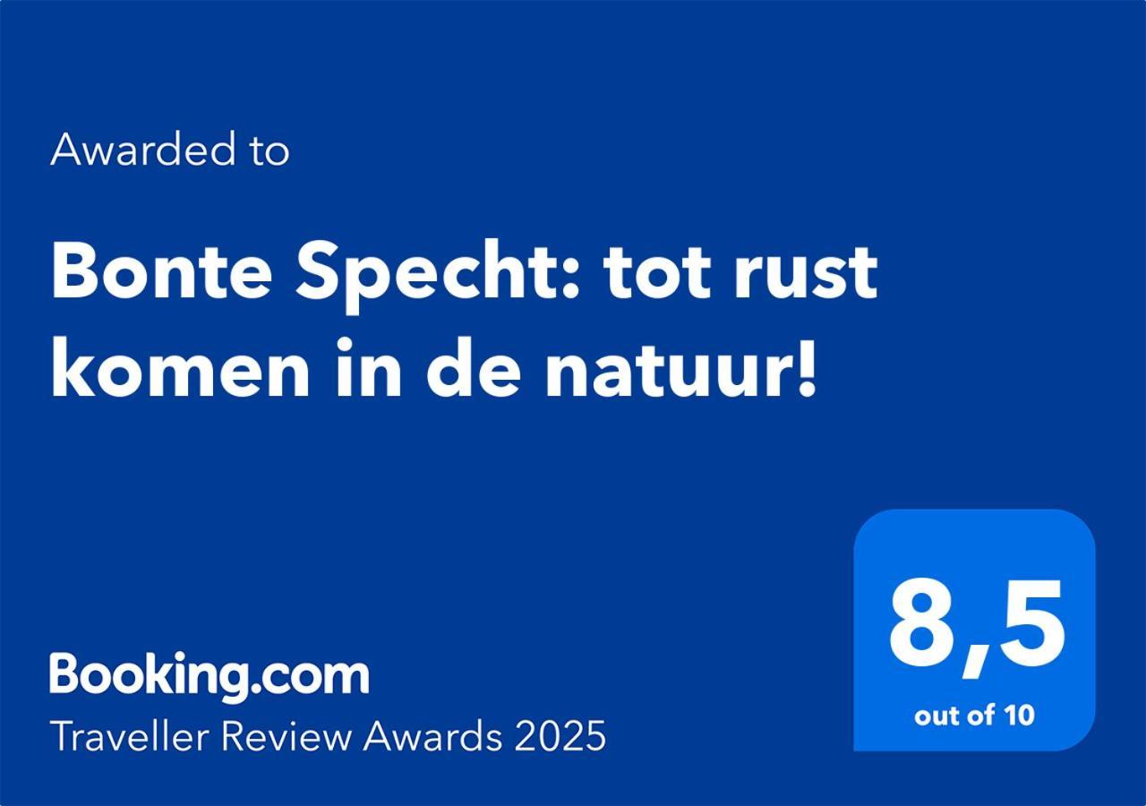 Bonte Specht: Tot Rust Komen In De Natuur! Otterlo Exteriör bild